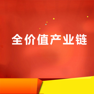 全價值鏈業務支撐