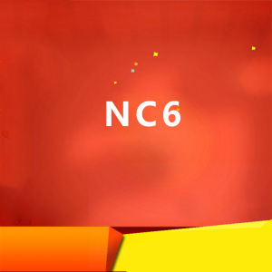 用友NC6